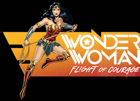 Wonder Woman GIF by Six Flags