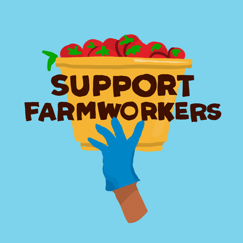 Farm Workers Food GIF by Denyse®