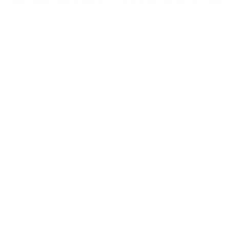 allisinco GIF