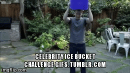 celebrity ice bucket challenge