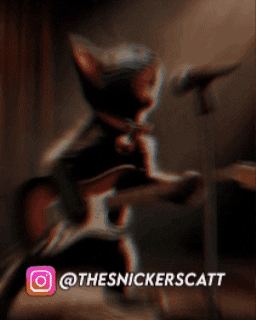snickerscatt singing cat thesnickerscatt guitar cat rock cat GIF