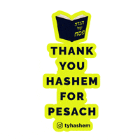 Freedom Jewish GIF by Thank You Hashem