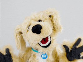 Dance Love GIF by HIF Australia