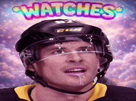Pittsburgh Penguins GIF
