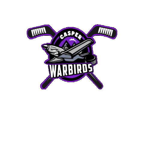 Casper Warbirds Sticker