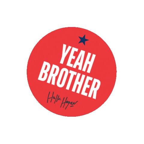 RealAmericanBeer Sticker