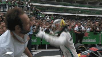 Lewis Hamilton Win GIF by Formula 1