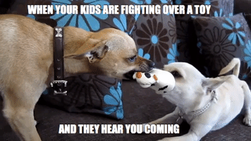 Siblings Motherhood GIF