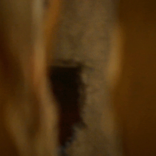 Spying I See You GIF by Lionsgate