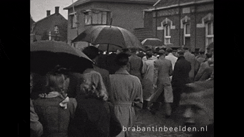 Happy Film GIF by BrabantinBeelden