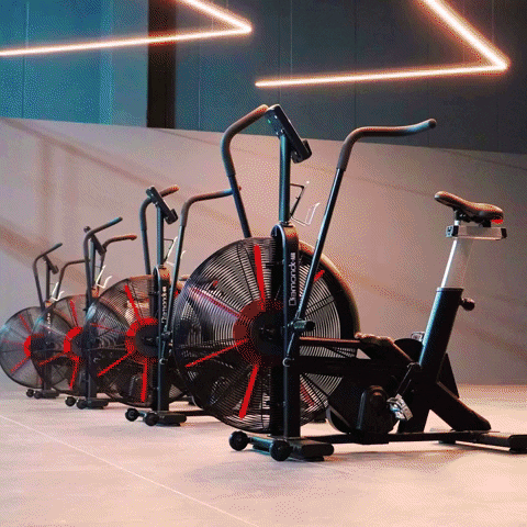 PadelArenaPerugia GIF