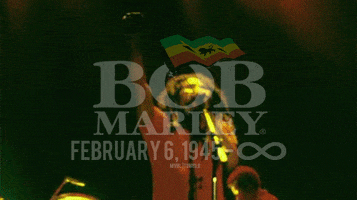 bob marley reggae GIF