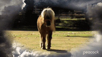 Parks And Rec Horse GIF by PeacockTV