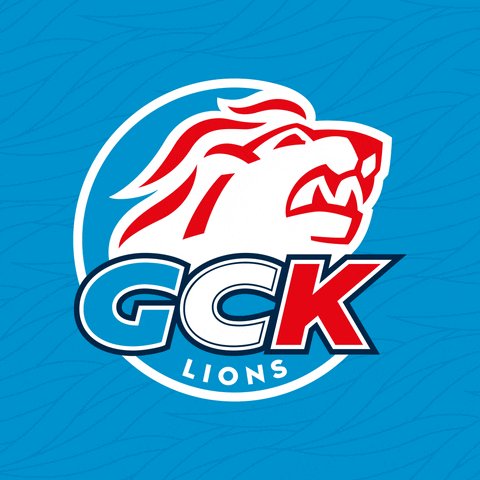 Baltisberger Gck GIF by ZSC Lions