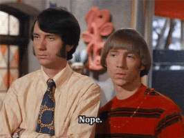 The Monkees Mike Nesmith GIF