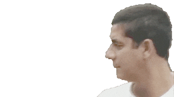 Samba Ok Sticker by Zeca Pagodinho