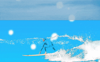 Mount longboards New Zealand GIF