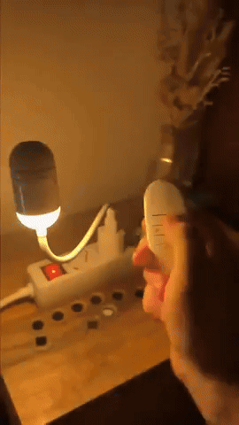 Animated GIF
