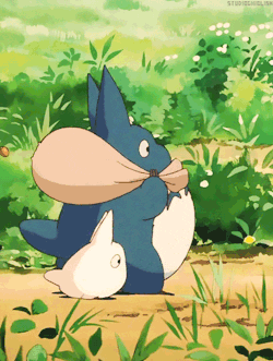 Mine My Neighbor Totoro Gifs Get The Best Gif On Giphy