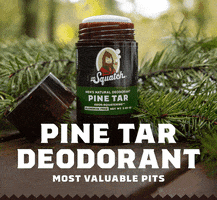Pine Tar Mvp GIF by DrSquatch