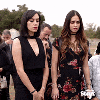 200.gif?cid=fc005b085cfe59bd7e7b27acb0cc6c6a3ac54fcba0ec4ff2&rid=200.gif&ct=g