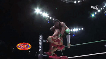Lucha Libre GIF