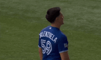 Happy Blue Jays GIF by Toronto Blue Jays