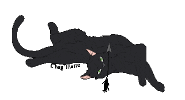 Animated Sticker