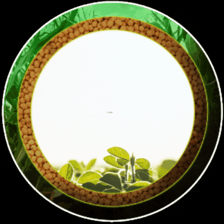 Pecuaria GIF by Agro Amazônia