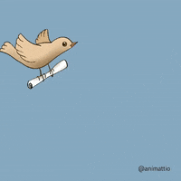 Carrier-pigeon GIFs - Get the best GIF on GIPHY Carrier-pigeon GIFs - Get the best GIF on GIPHY