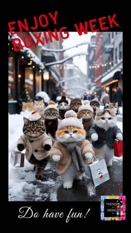 TresorsDuMonde.ca GIF