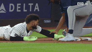 New York Yankees Sport GIF by MLB