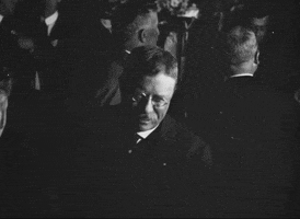 teddy roosevelt vintage GIF by US National Archives