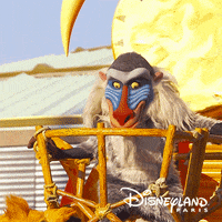 happy lion king GIF by Disneyland Paris