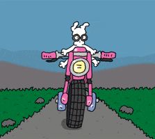 friday GIF by Chippy the dog
