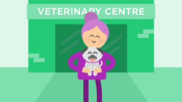 dog vet GIF by JustGiving