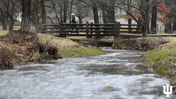 Indiana Hoosiers River GIF by Indiana University Bloomington