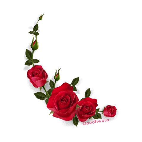 Red Rose Love Sticker