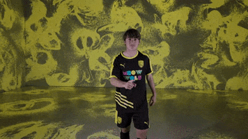 Black And Yellow Wolf GIF by New Mexico United