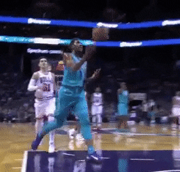 michigan state nba GIF by Charlotte Hornets