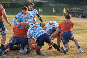 Top 12 Rugby GIF