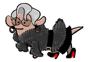 Meryl Streep Lol Sticker by Stefanie Shank