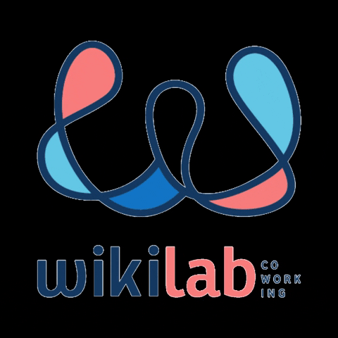 GIF by Wikilab