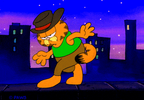 Dance Cat GIF by Garfield
