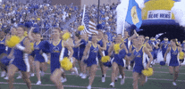 knock down college football GIF by Delaware Blue Hens