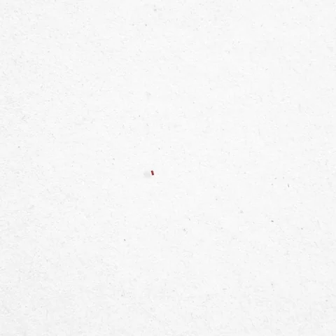 red white and blue wow GIF by Bomb Pop