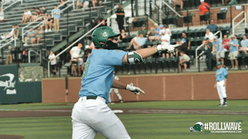 Home Run Sport GIF by GreenWave