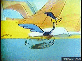 Road Runner GIFs - Find & Share on GIPHY