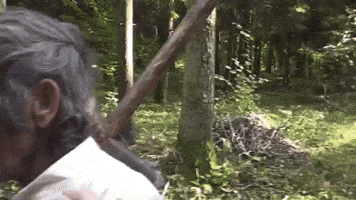 Rematch  GIF