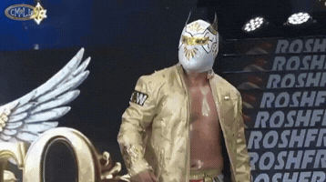 Wrestling Mistico GIF